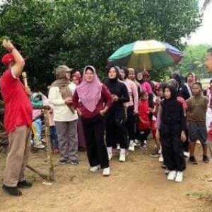 Compress_20251105_231159_9500